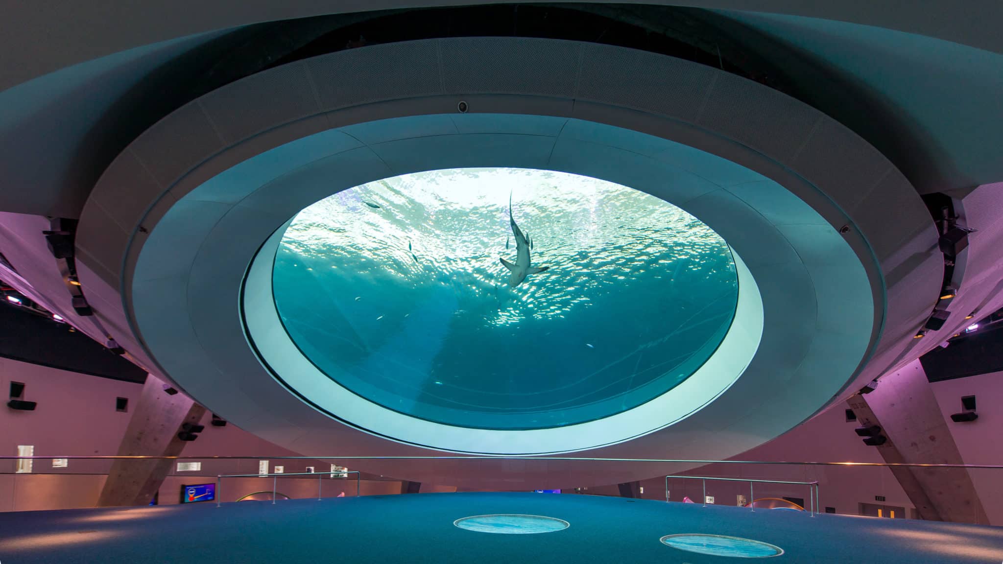 Gulf Stream Aquarium Oculus @ Frost Science