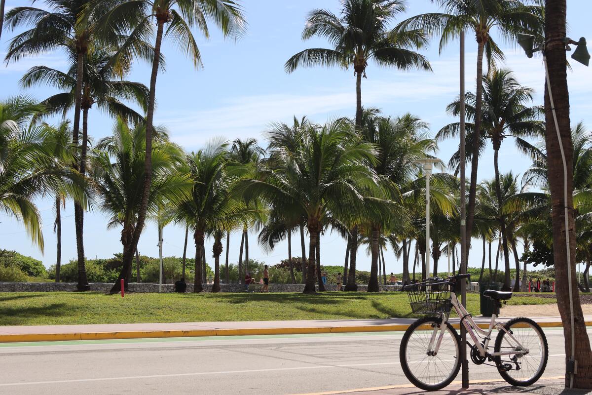 Miami Beach bike
