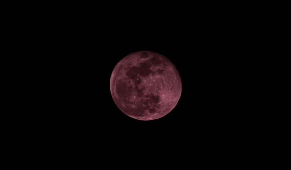 Don’t Miss April’s Stunning Full ‘Pink Moon’ This Week