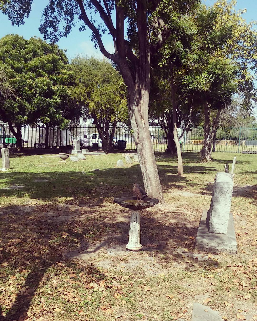 Miami City Cemetery