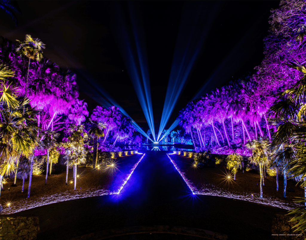 56 Magnificent Things To Do In Miami This November