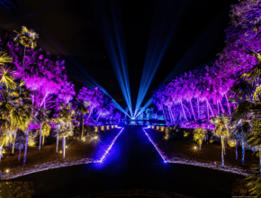57 Magnificent Things To Do In Miami This November