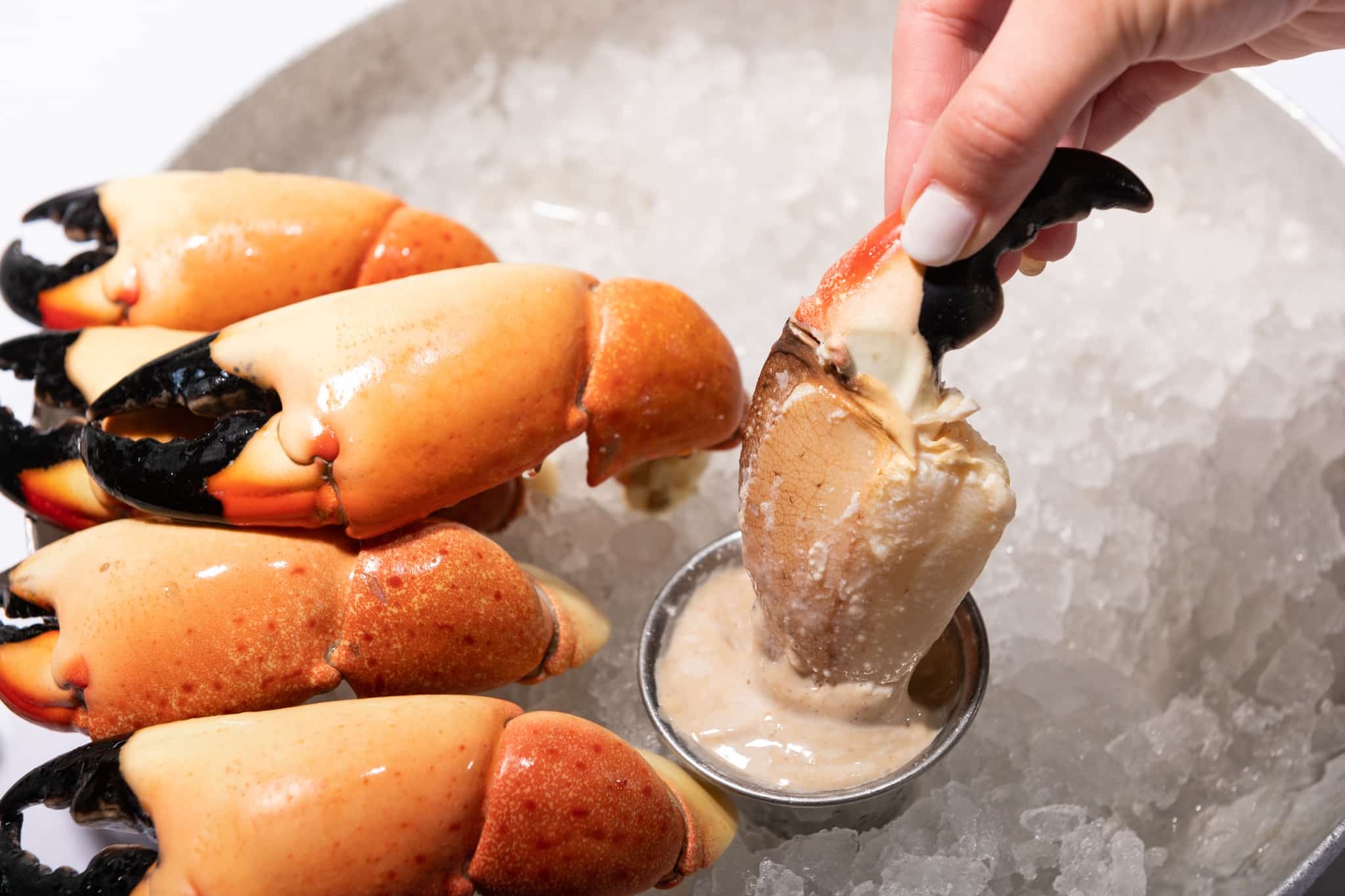 Billy's Stone Crab crab claws