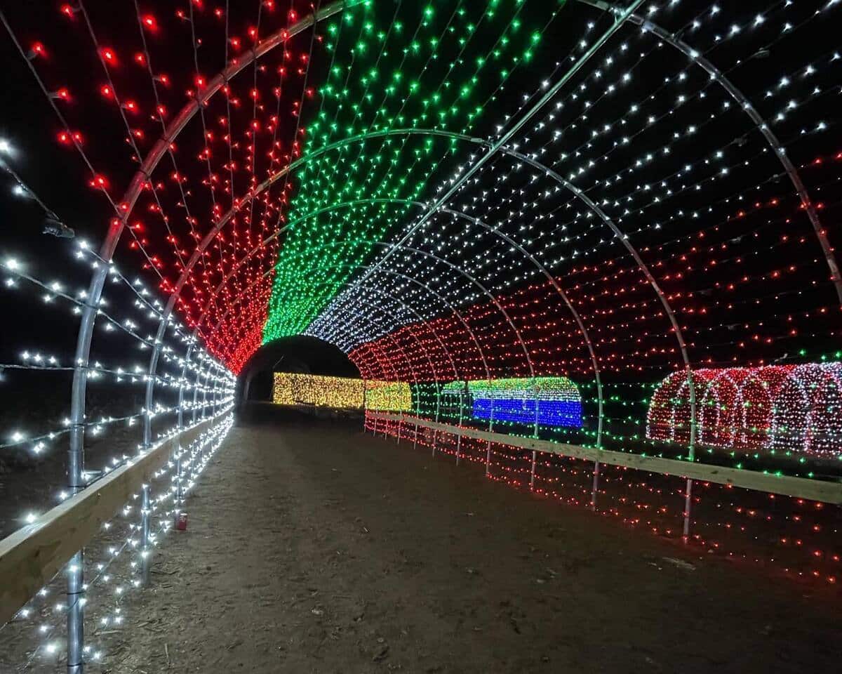 The Berry Farms holiday lights