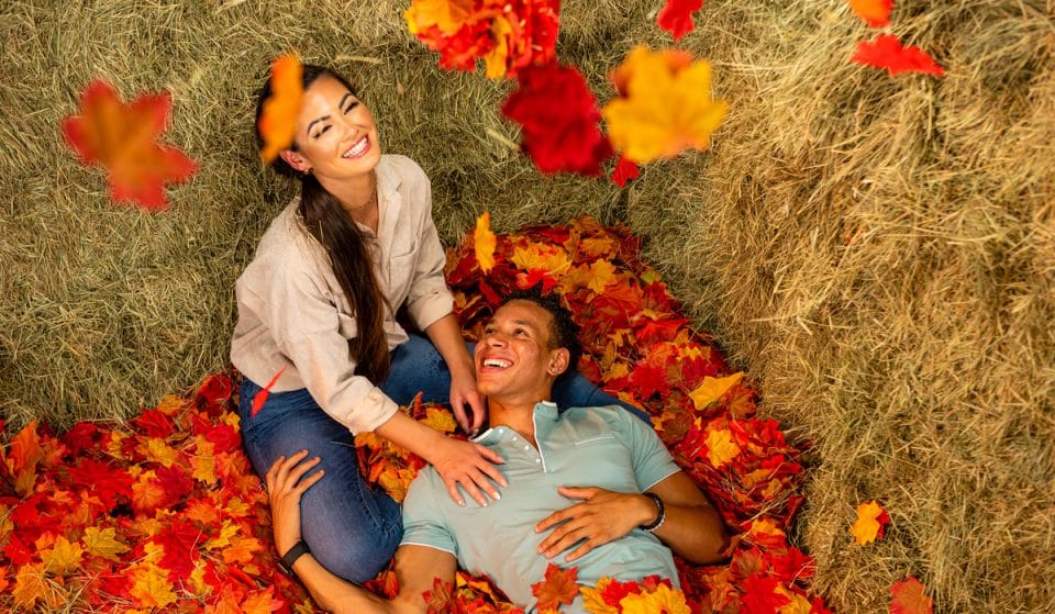 Get Lost In A Totally Fall-tastic Hay Maze Coming To Miami This October