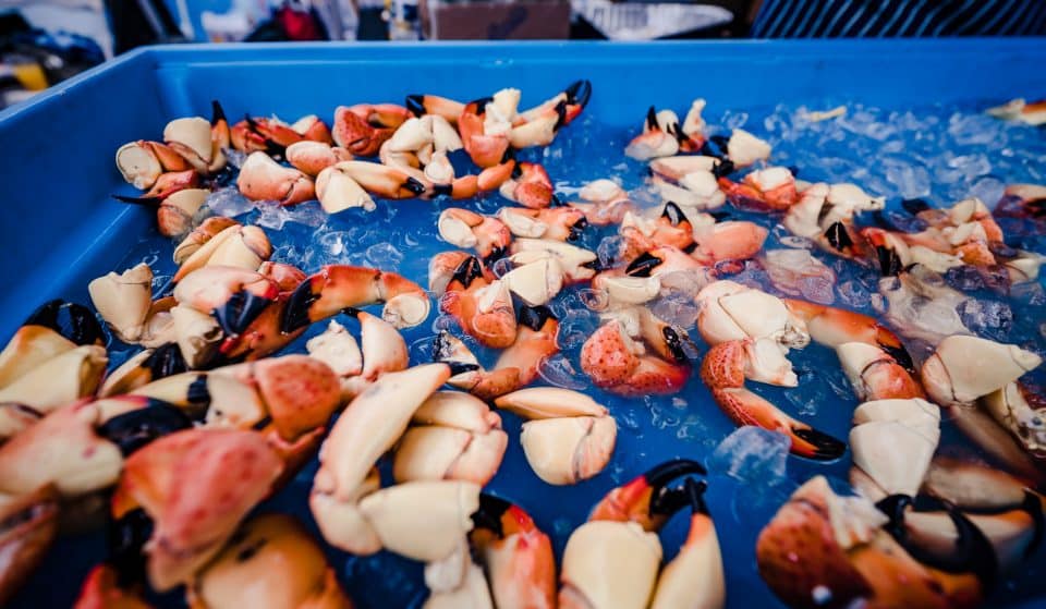 The Scrumptious South Beach Seafood Festival Is Making A Splash This October