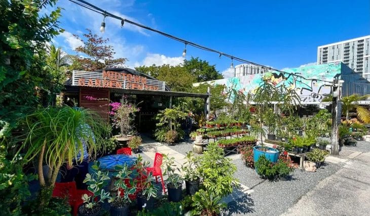 10 Best Miami Plant Shops To Turn Your Home Into A Tropical Oasis