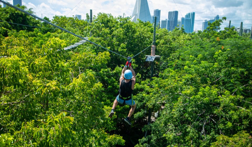 You Can Soar Through The Trees At This Zipline Adventure Park In Miami