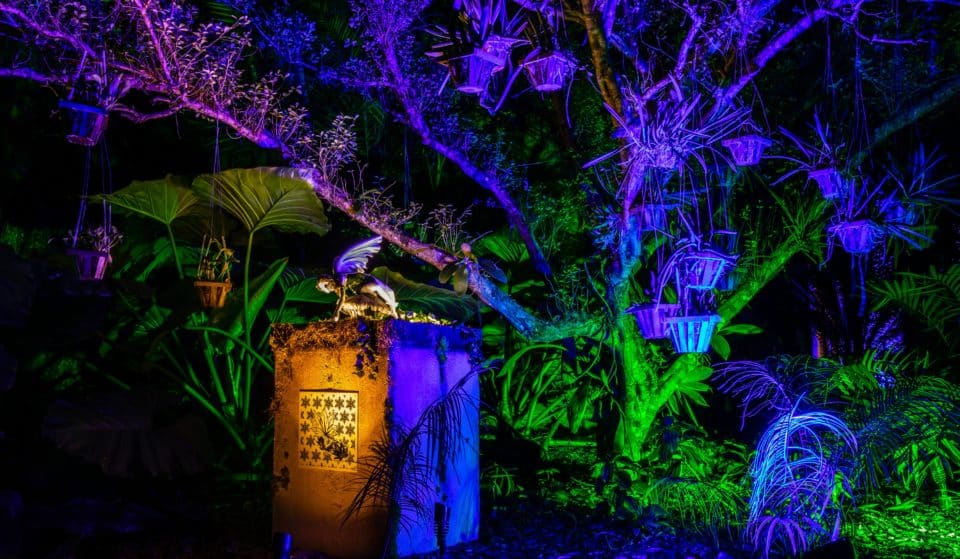 Tickets Just Went On Sale For NightGarden’s Magical Light Experience In Miami