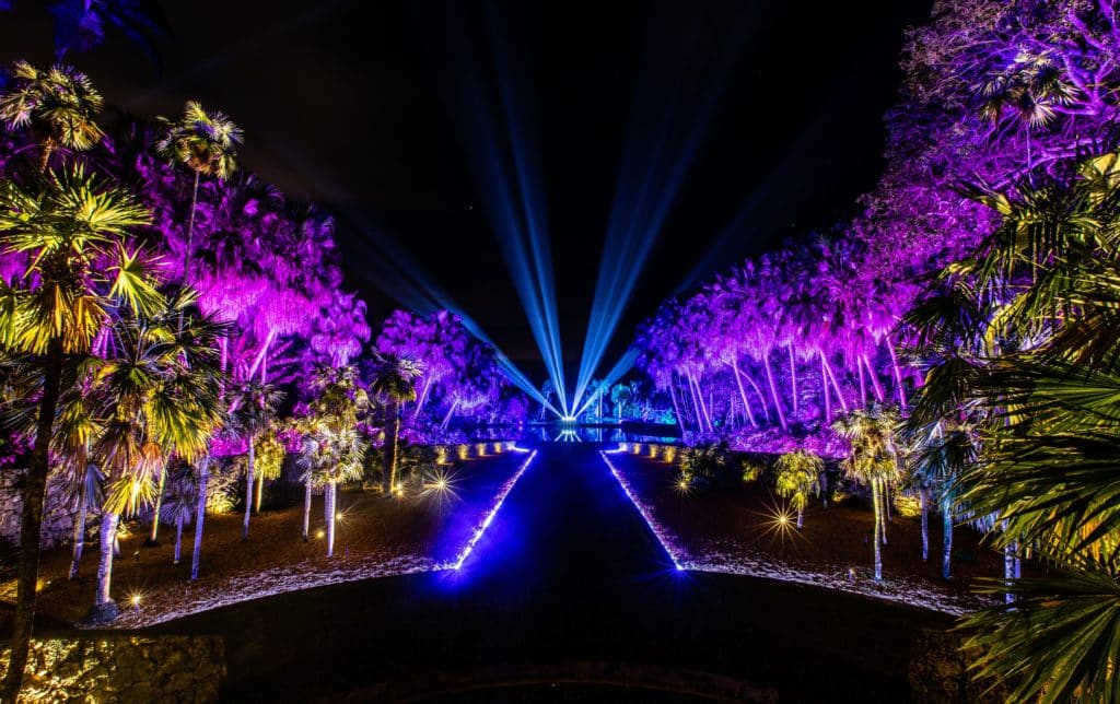 The Enchanting NightGarden Light Installation Returns To Miami
