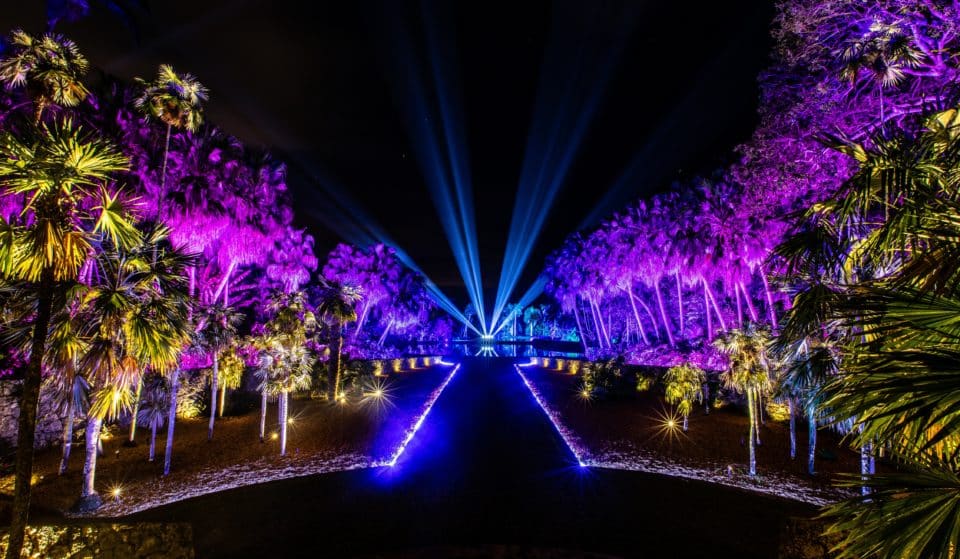 The Enchanting NightGarden Light Installation Returns To Miami In November
