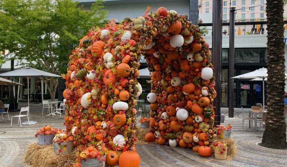 Coral Gables’ Picture-Perfect Pumpkin Arch Is Back For Fall