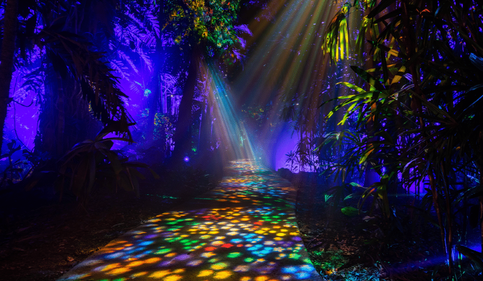 The Enchanting NightGarden Light Installations Are Returning To Miami This Year