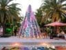 The Royal Poinciana Plaza’s Iconic Surfboard Tree Returns This December