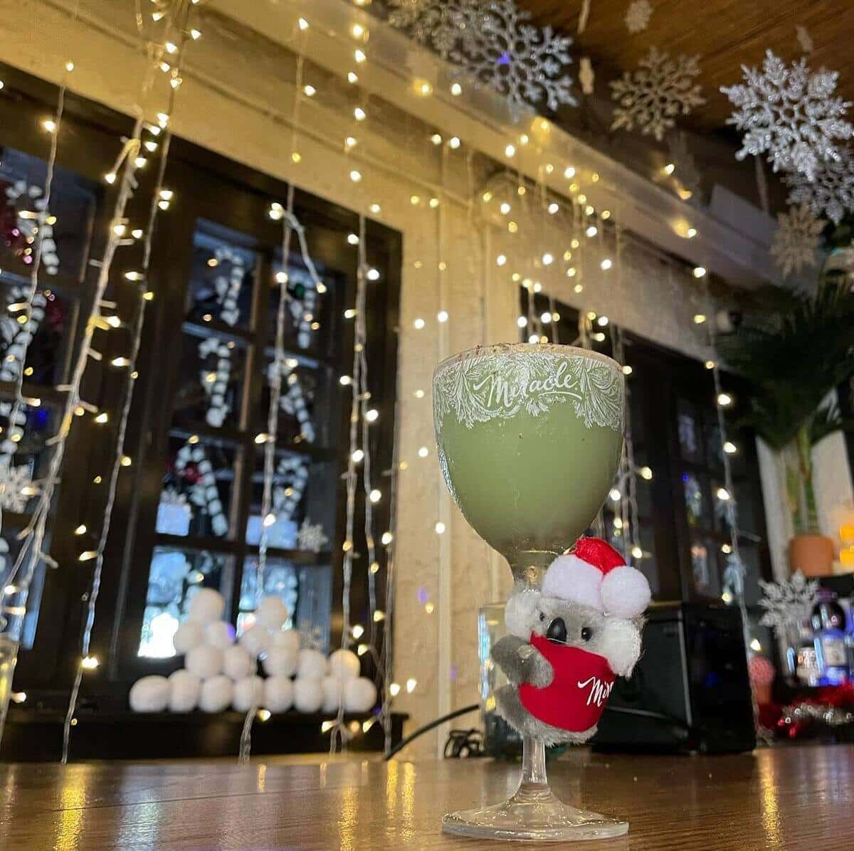 Koala attached to a drink at The Falcon holiday pop-up bar