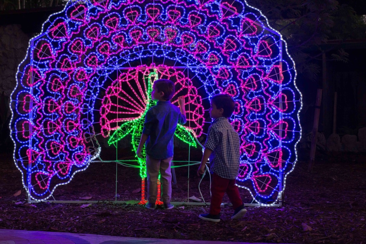 Peacock lighting display