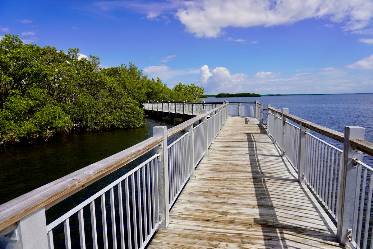 Biscayne National Park in southern Florida. Jetty Walk near Dante Fascell Visitor Center at Convoy Point. 