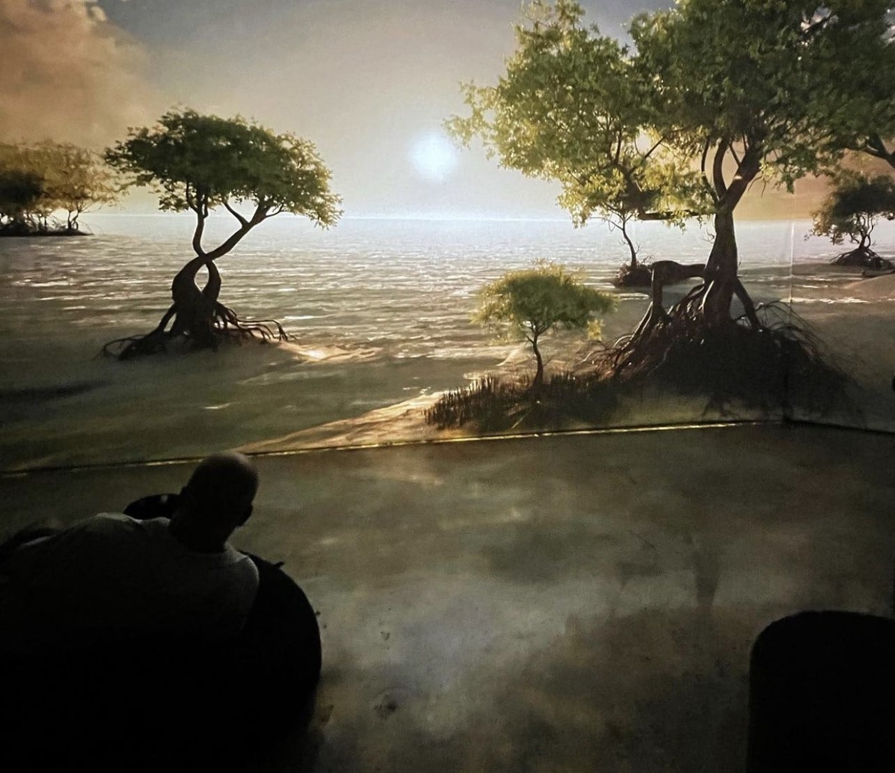 Hidden Worlds projected mangroves