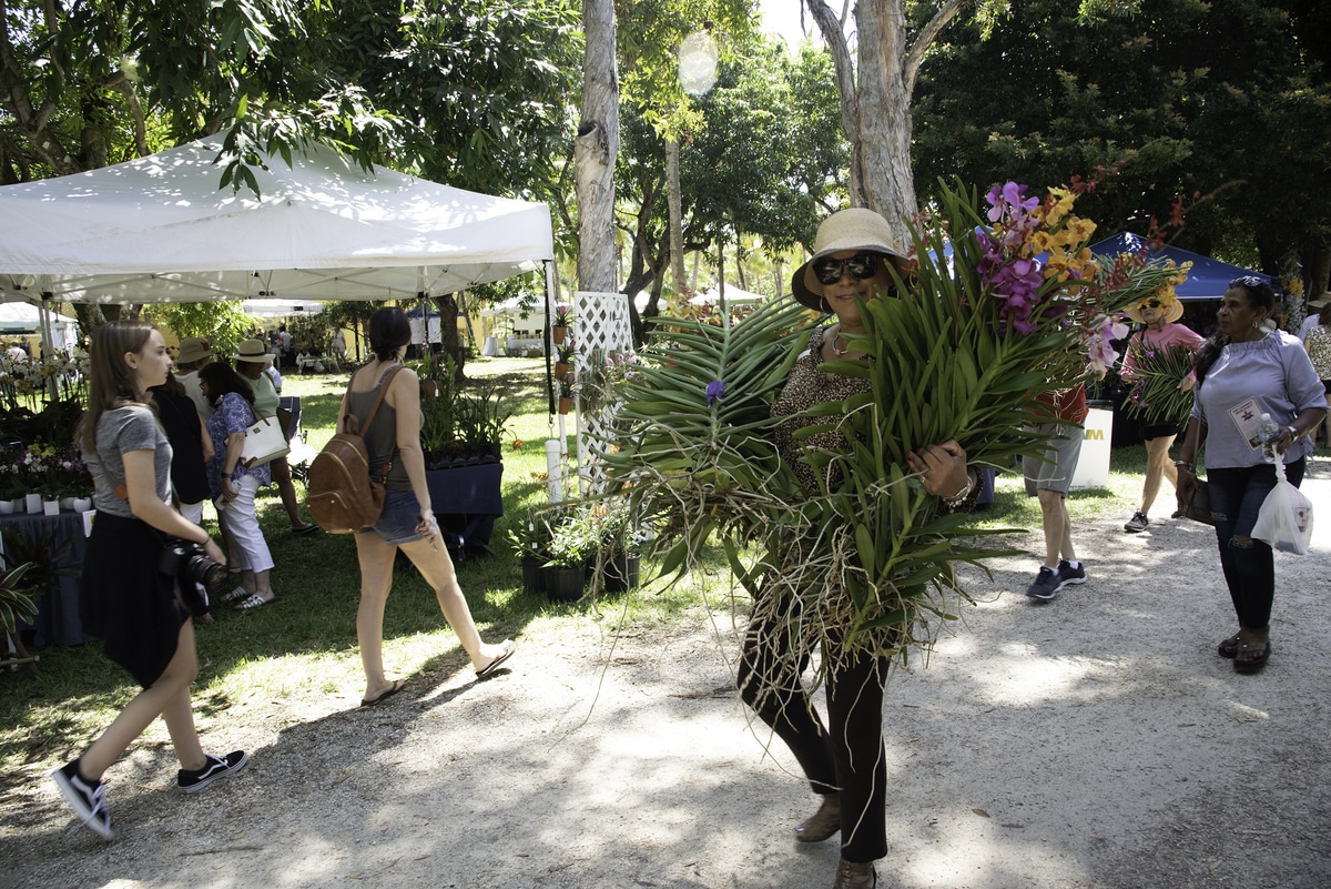 Photo from the 2019 Bonnet House Orchid and Garden Festival