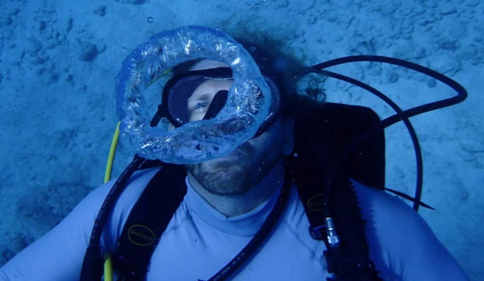 South Florida Professor Breaks World Record For Longest Time Living Underwater