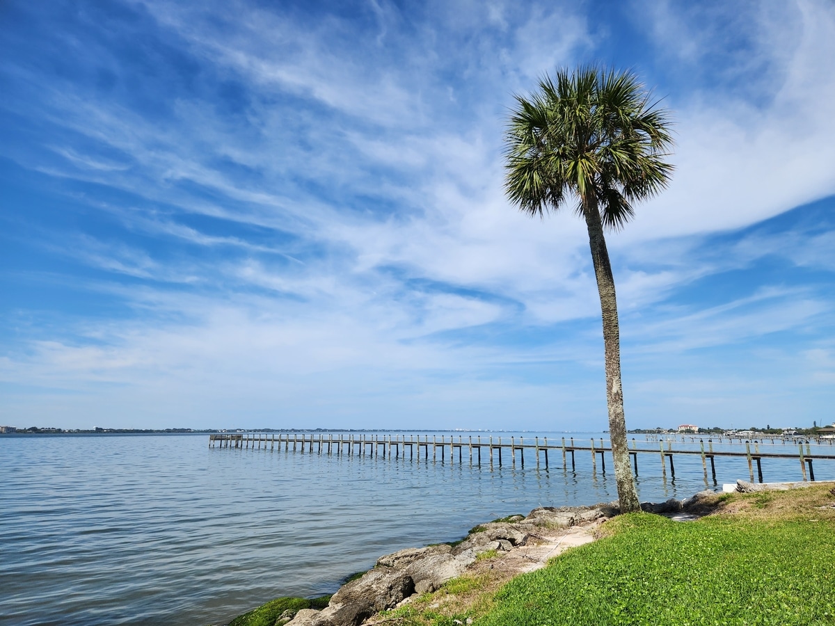 Melbourne Beach, Florida - palm tree and Indian River Lagoon