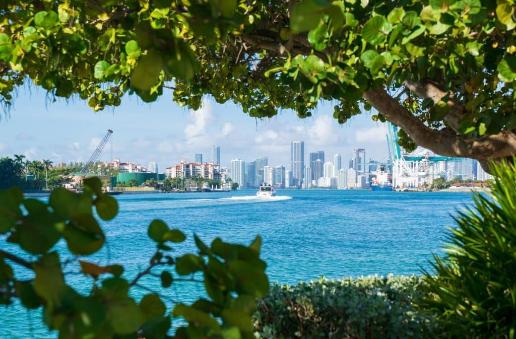 View from South Pointe Park in Miami. Visitors can enjoy the breathtaking views of the ocean and surrounding urban buildings, infrastructures toward the waterfront and downtown Miami.